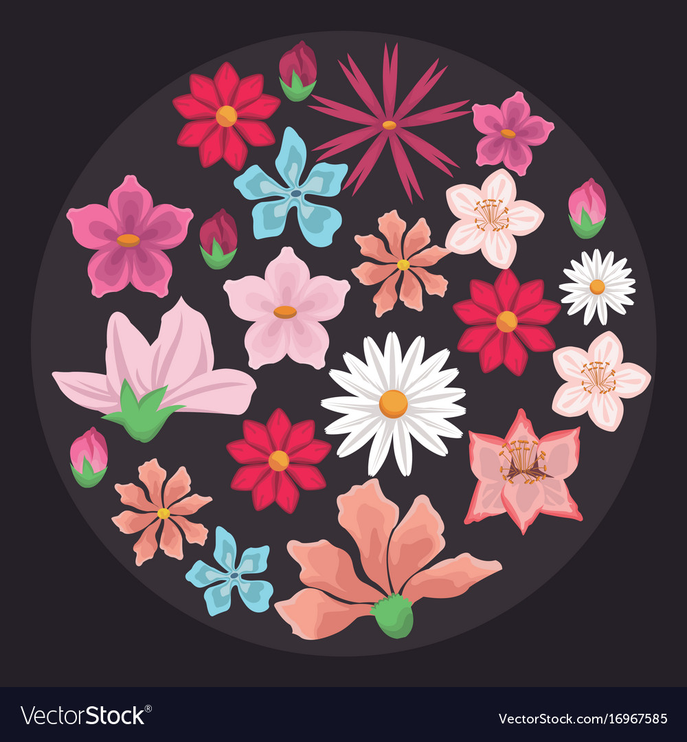 Black background with decorative circular border