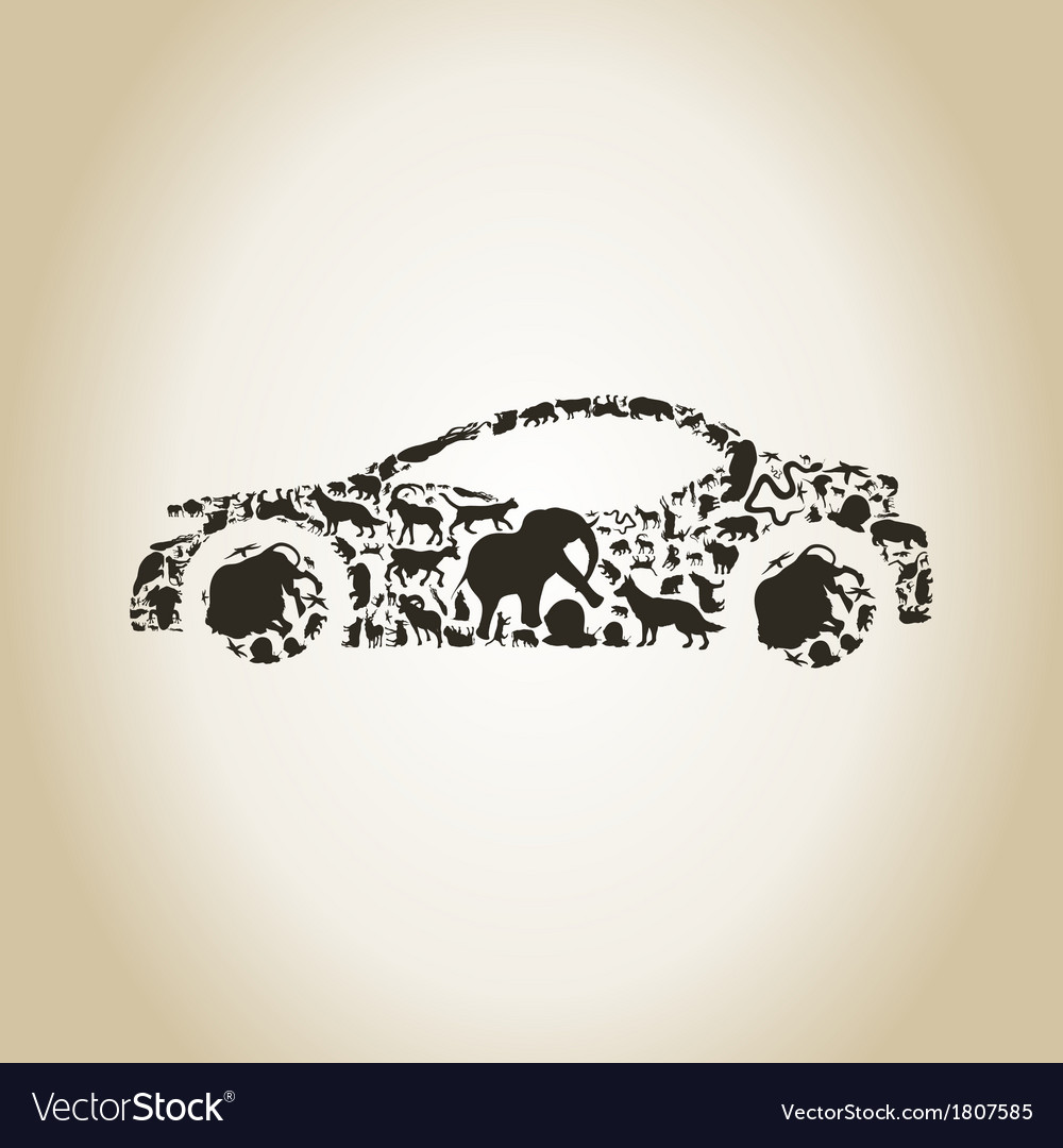 Car an animal