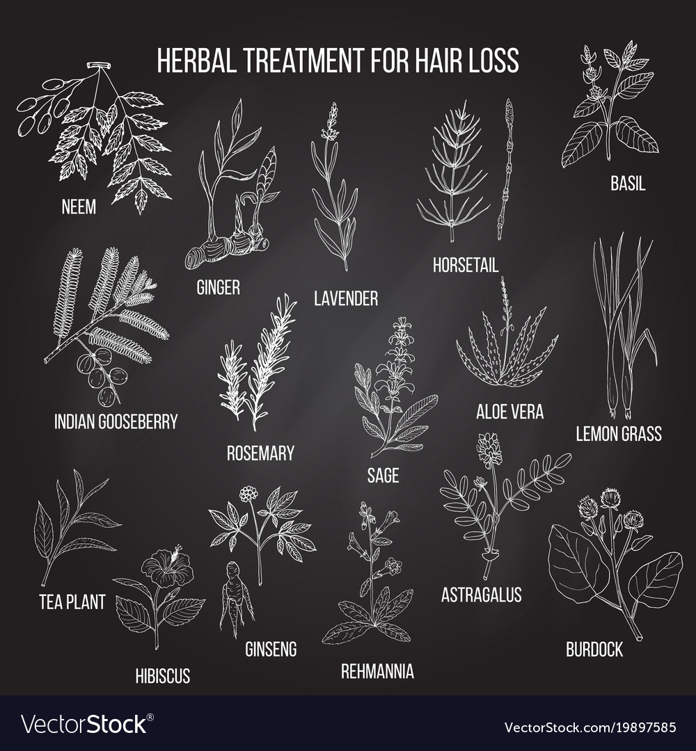 Medicinal herbs for hair loss treatment