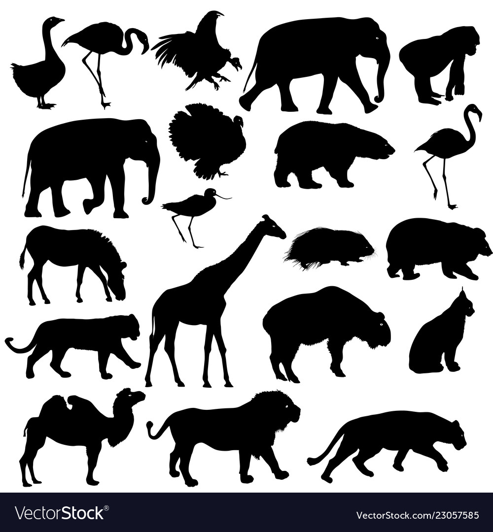 Silhouette elephant bear eagle trot duck zebra Vector Image