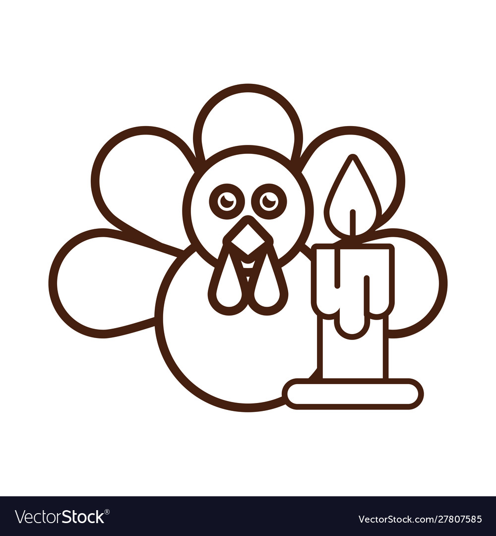 Turkey bird animal thanksgiving character