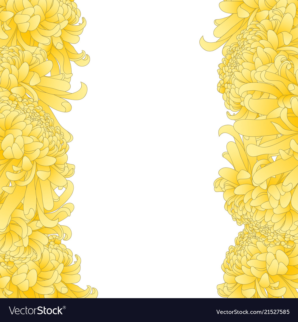 Yellow Chrysanthemum Flower Border Royalty Free Vector Image