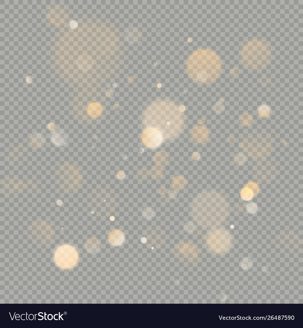 Effect bokeh circles isolated on transparent Vector Image Effect bokeh circles isolated on transparent