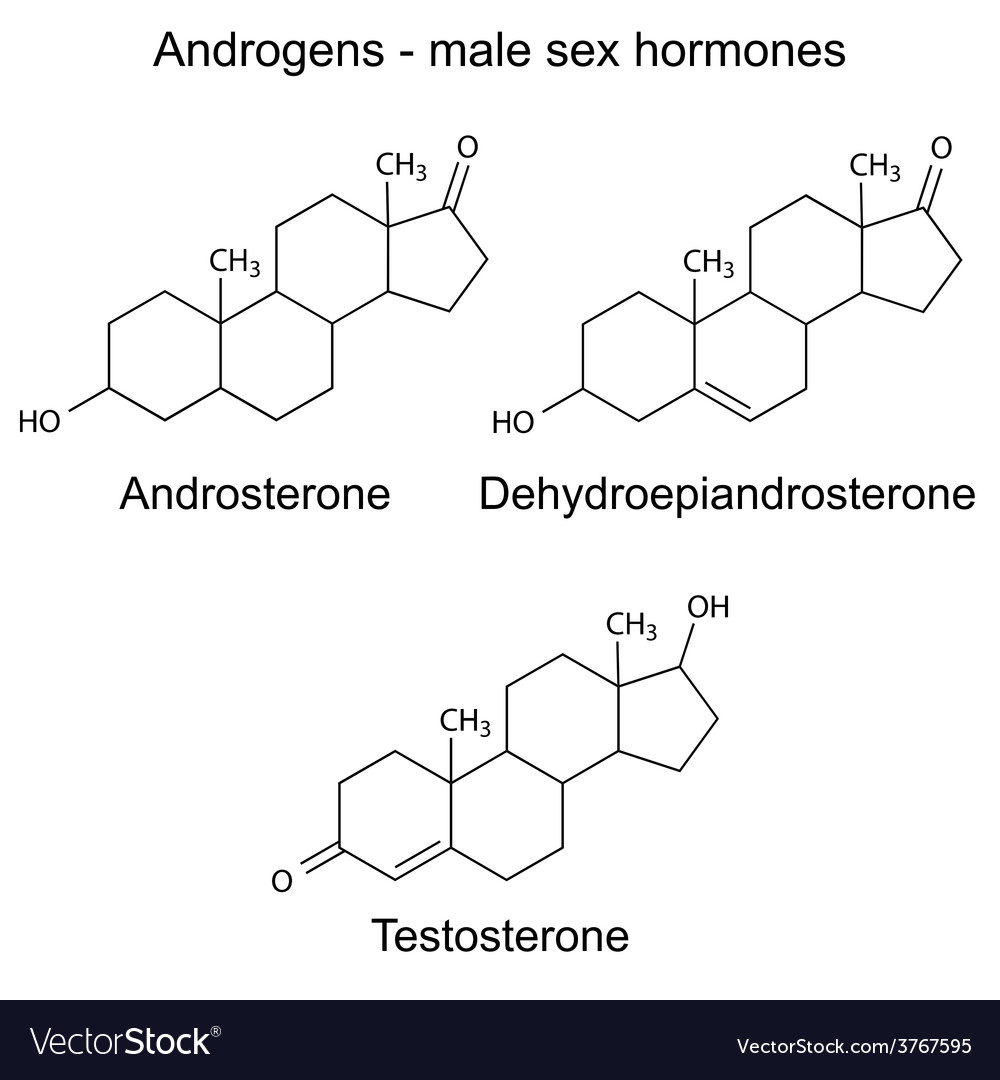 Chemical formulas of male sex hormones