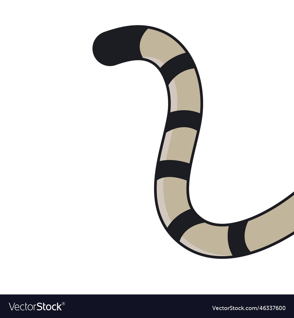 Cat tail element concept design template
