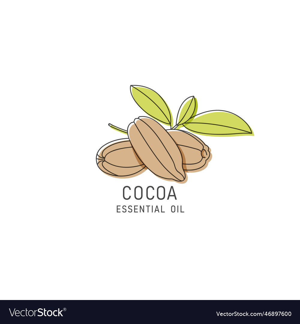 Packaging design element and icon in linear style vector image Packaging design element and icon in linear style