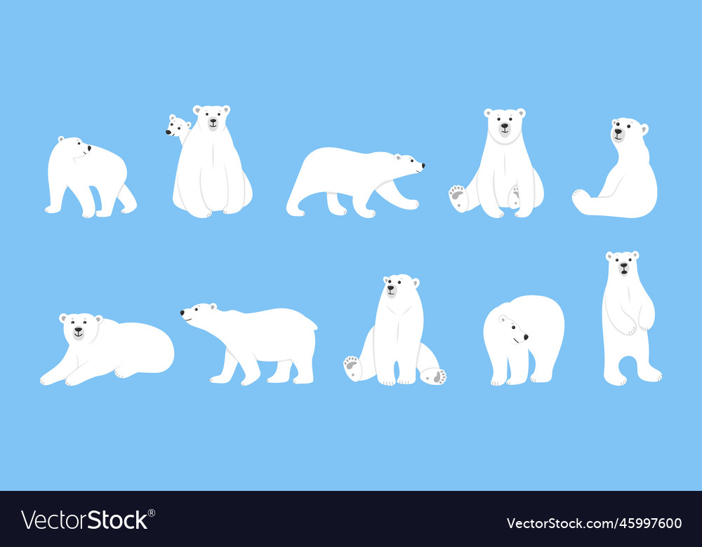 White sleeping winter polar bear animals wildlife Vector Image