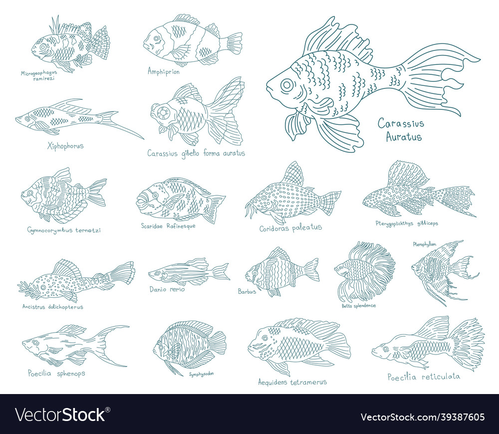 Aquarium Fischset Sammlung von Meerestieren