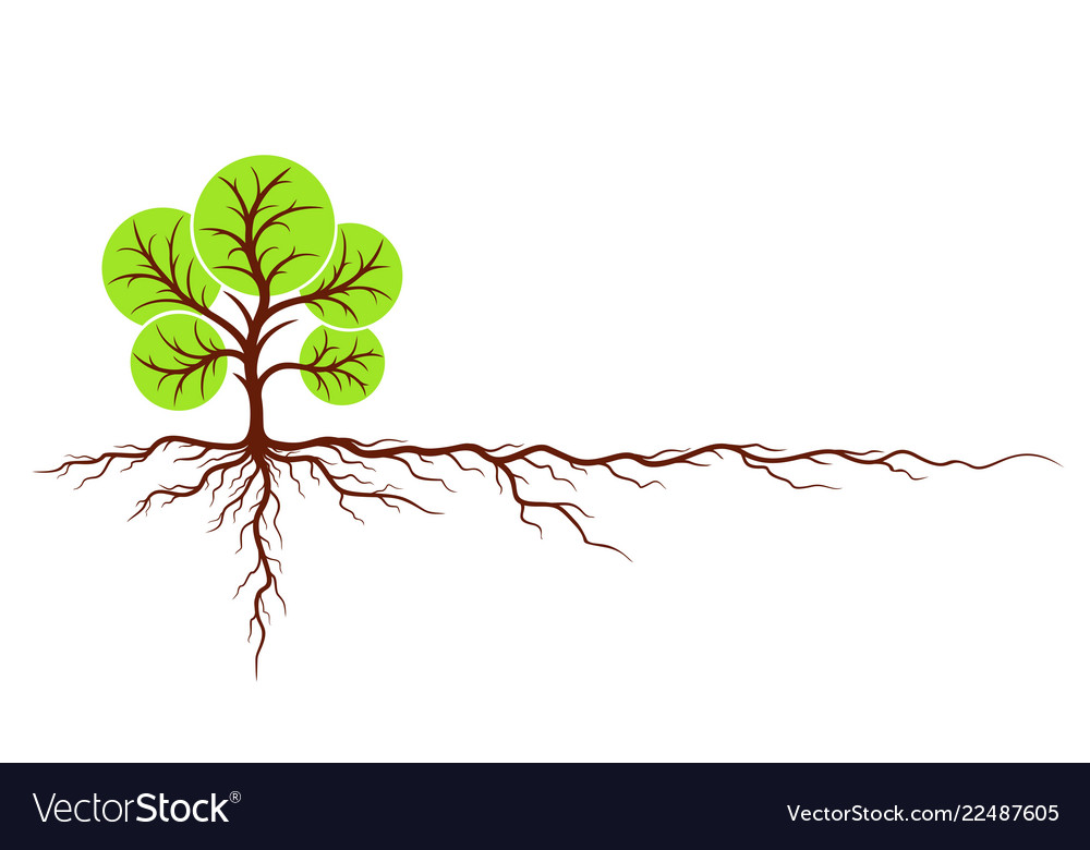 Tree with roots