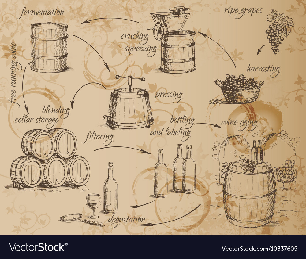 Wine Production Workflow