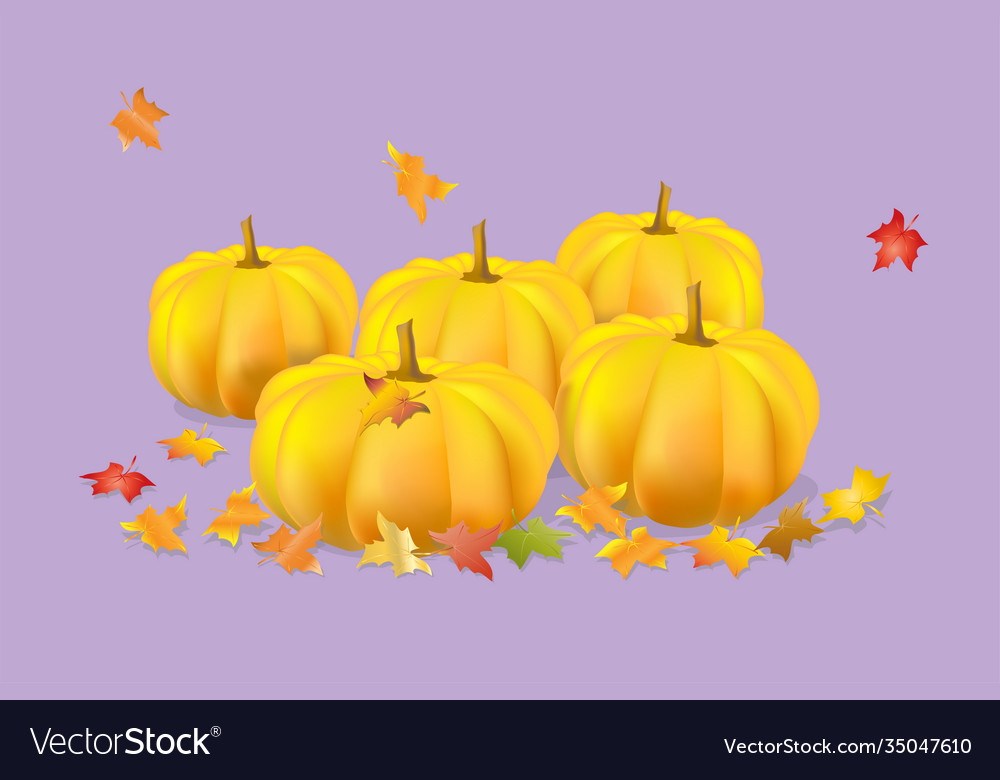 Five orange pumpkins