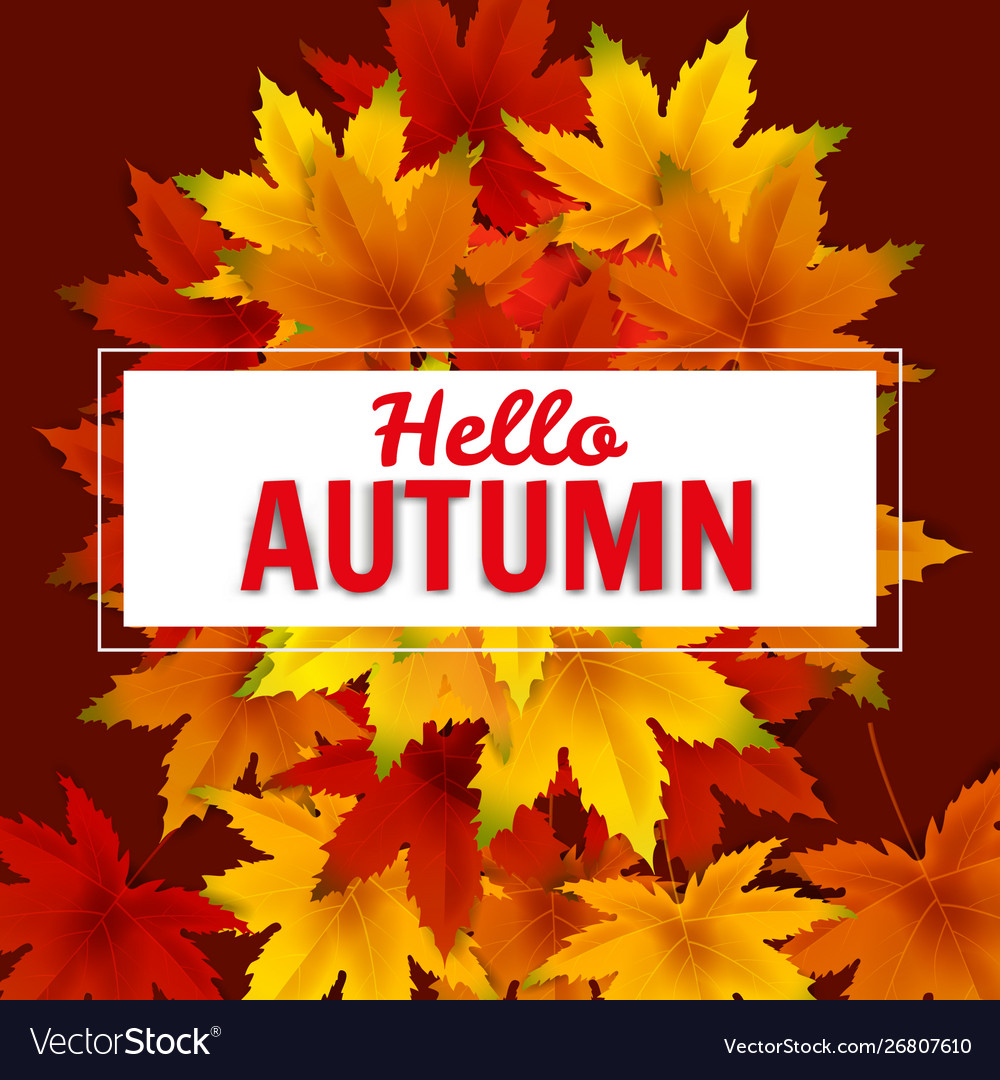 Hello autumn background template with falling