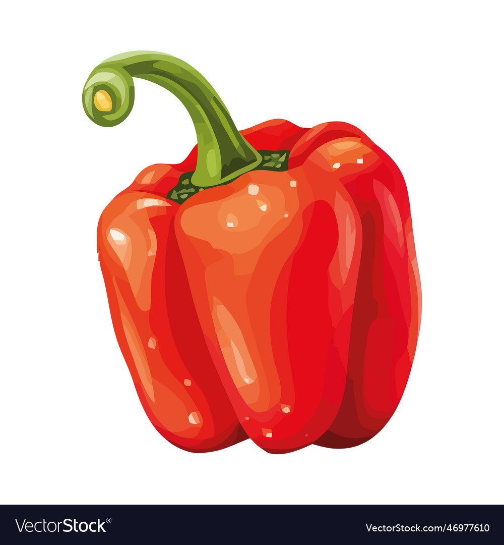 Organic vegetable pepper ripe and healthy eating