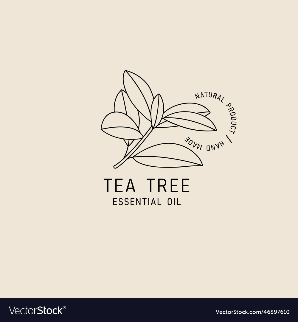 Packaging design element and icon in linear style
