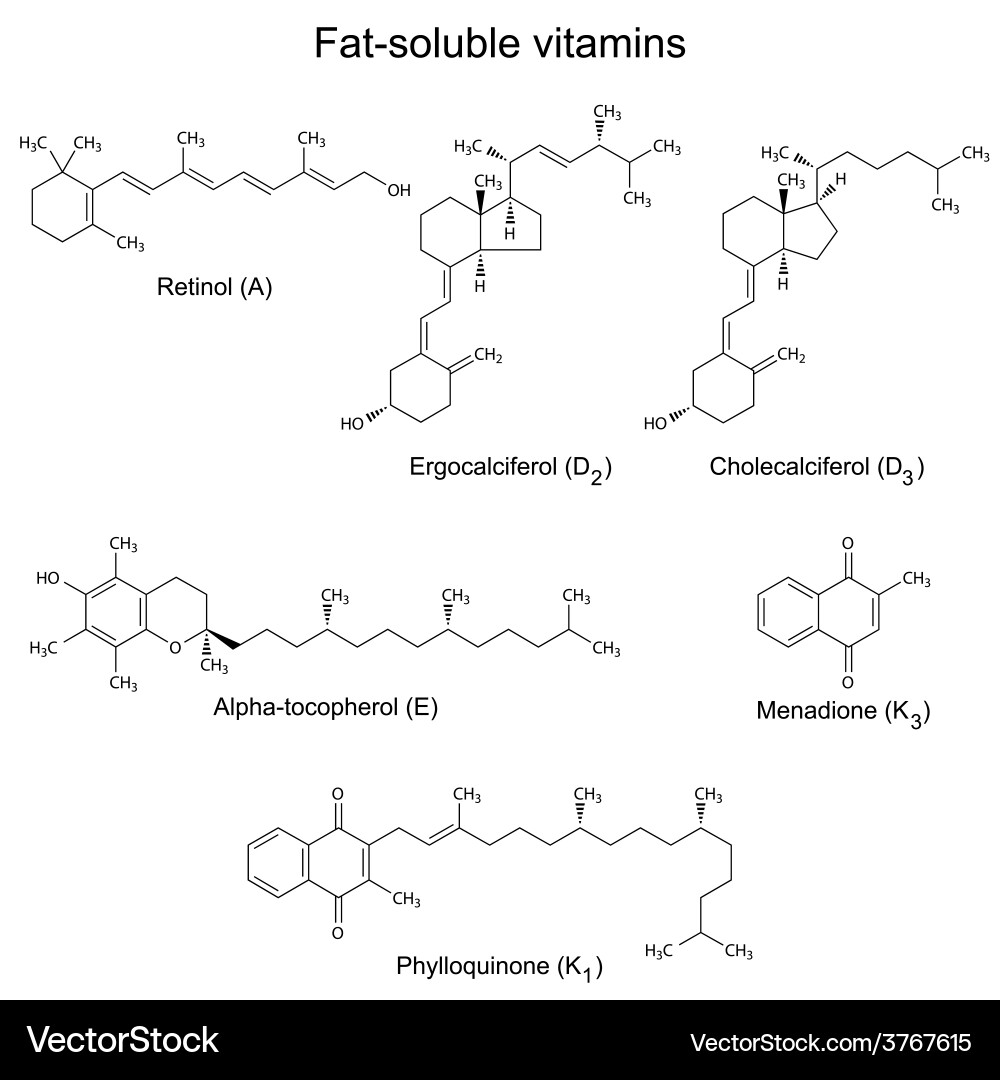 Chemical formulas liposoluble vitamins Royalty Free Vector
