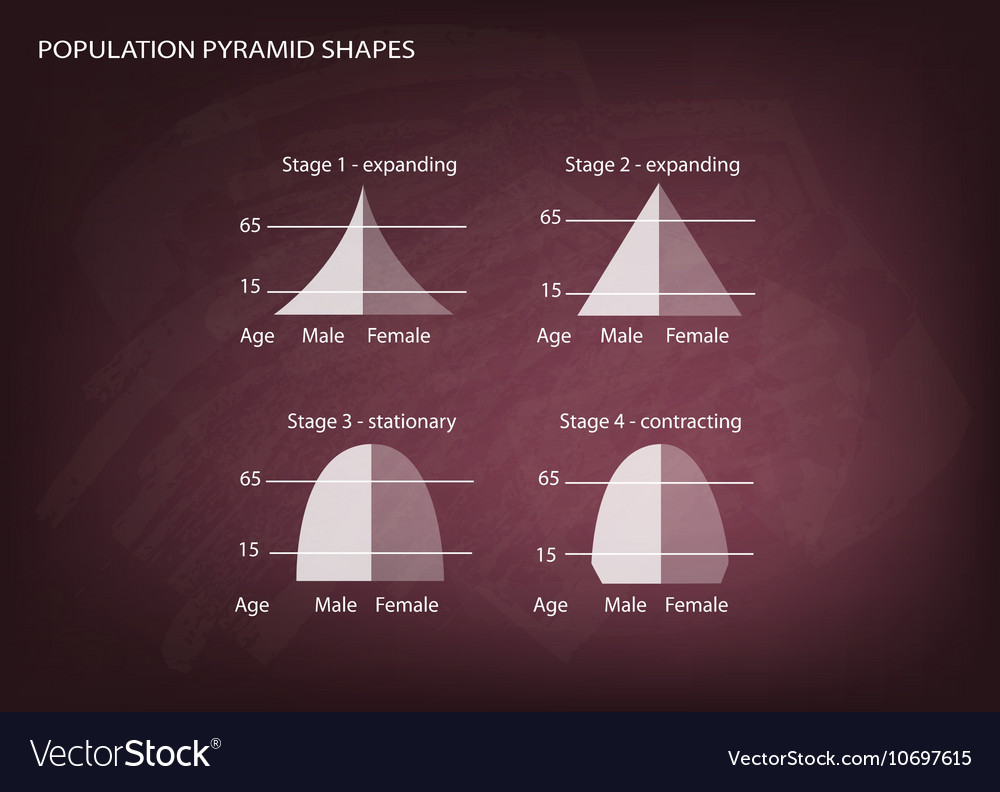 four-types-of-population-pyramids-royalty-free-vector-image