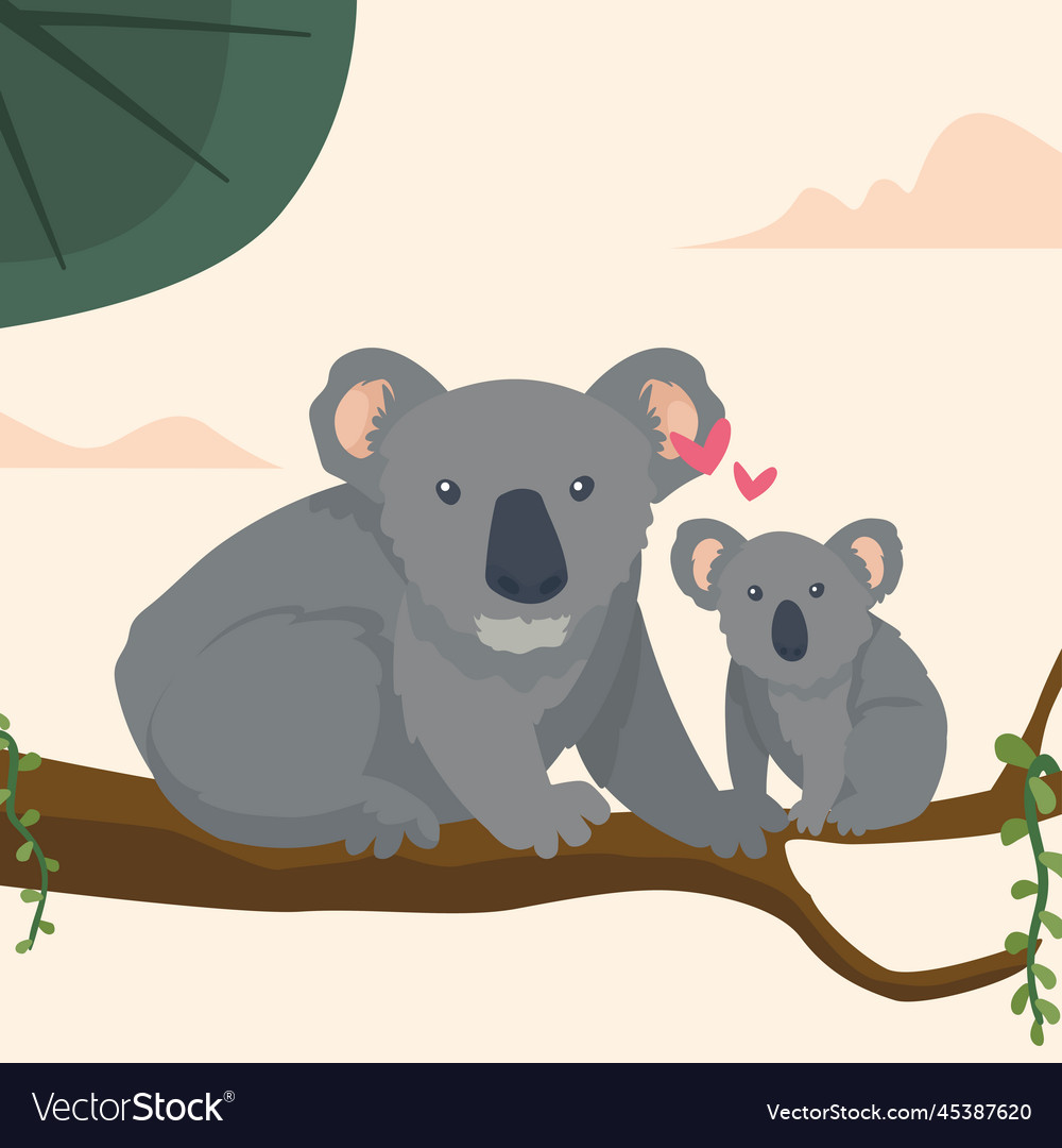 Koalas mom and baby Royalty Free Vector Image - VectorStock