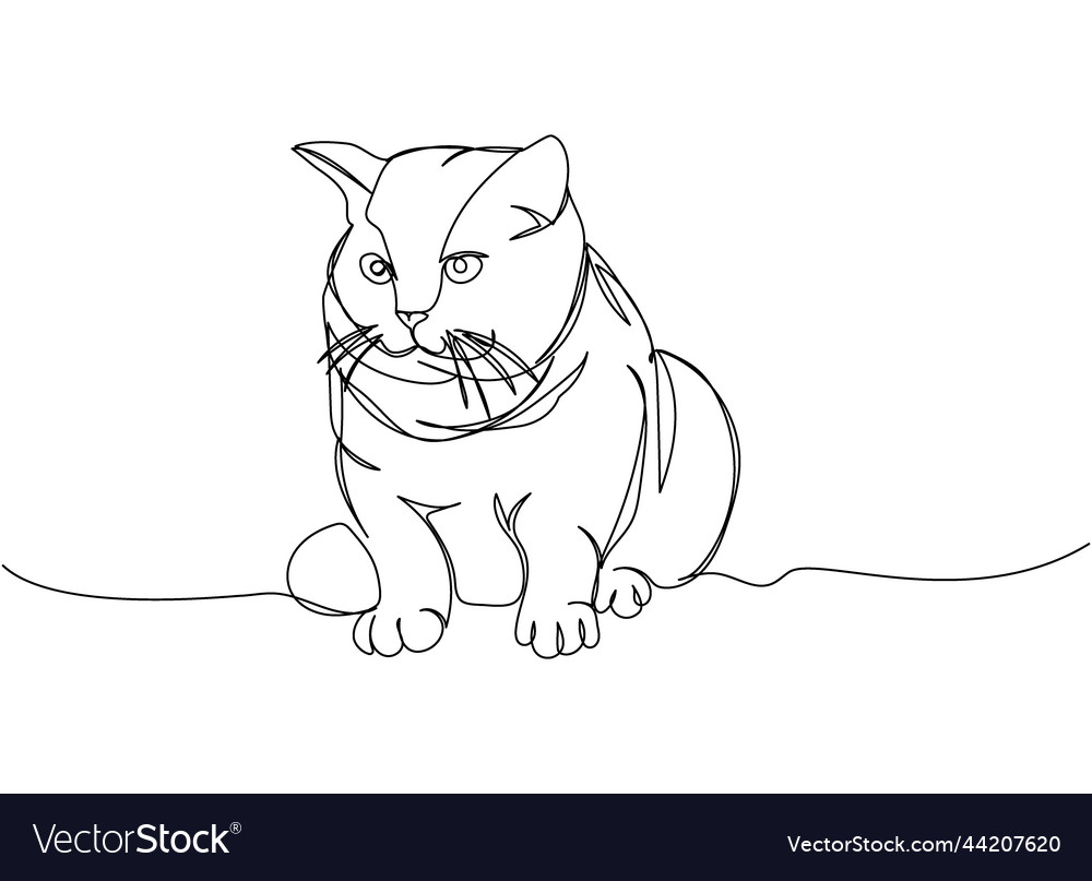 Scottish fold cat one line art continuous Vector Image Scottish fold cat one line art continuous