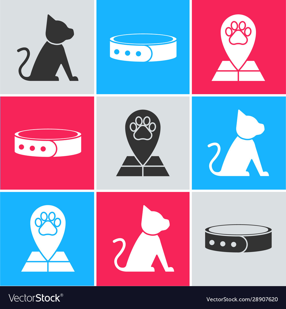 Set cat collar with name tag and map pointer vector image Set cat collar with name tag and map pointer