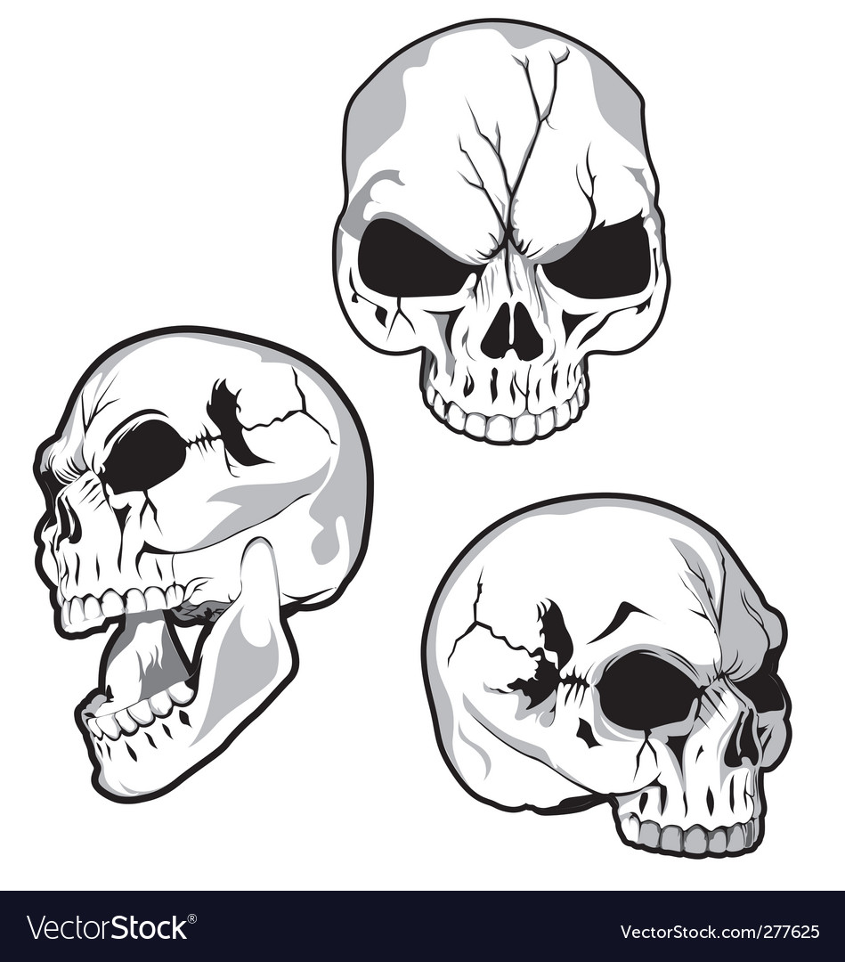 Skulls Royalty Free Vector Image - VectorStock