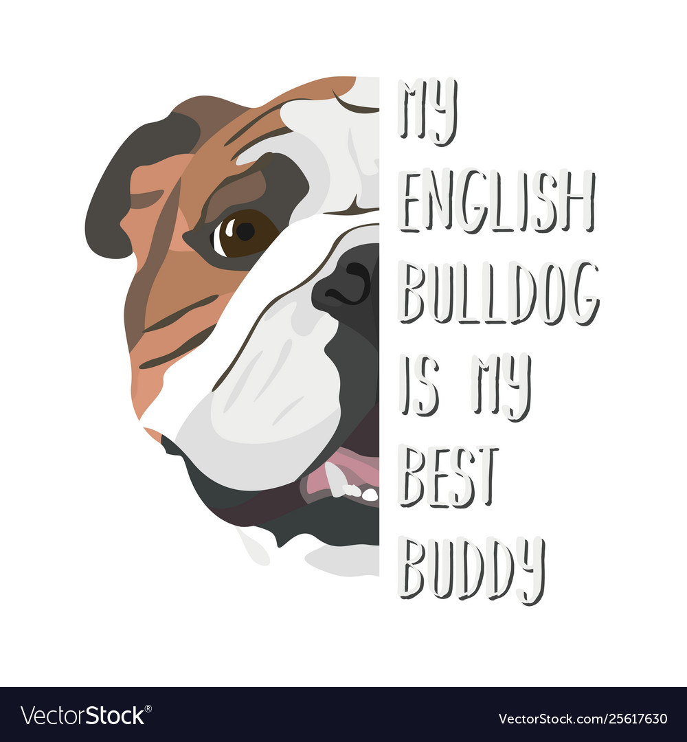 Best friend english bulldog