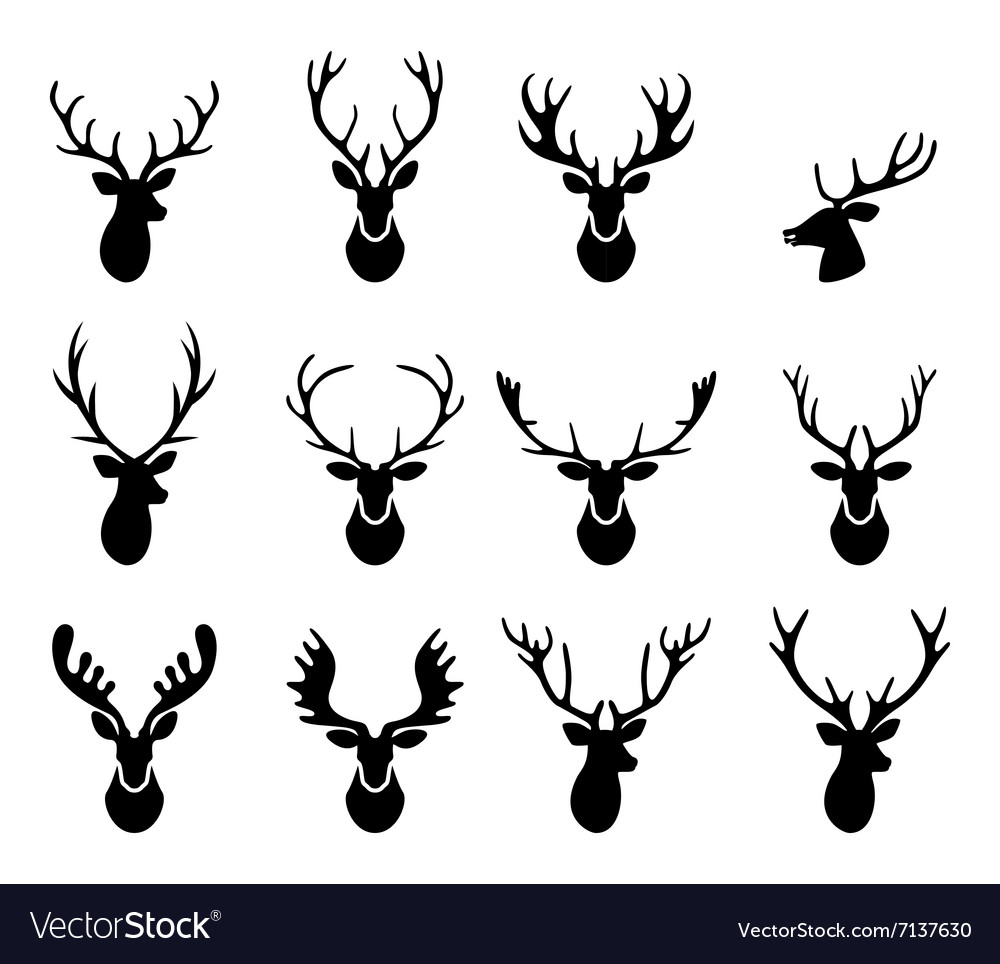 Black silhouettes of different deer horns Vector Image