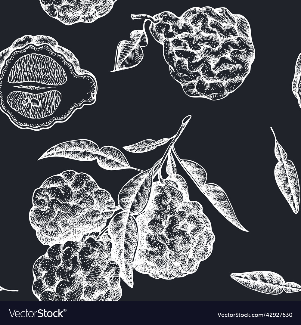 Citrus seamless pattern background design vector image Citrus seamless pattern background design