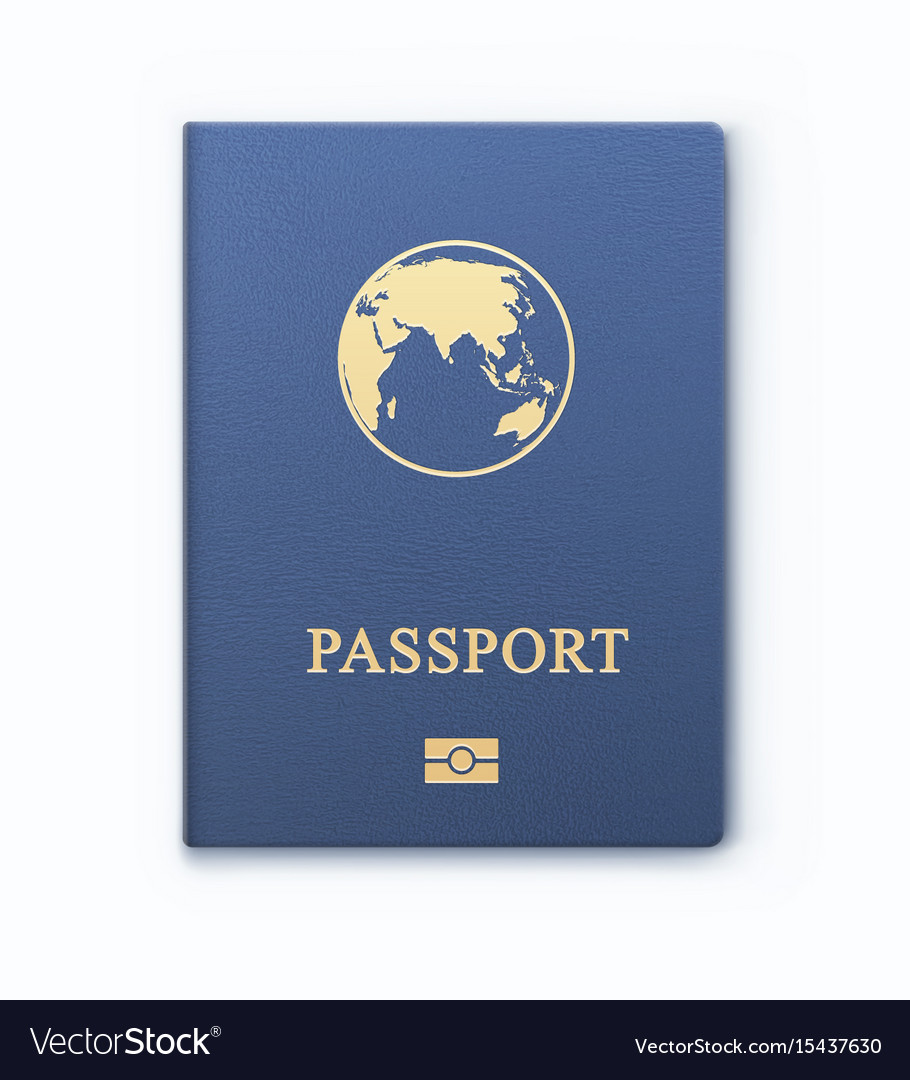 International identification document for travel Vector Image