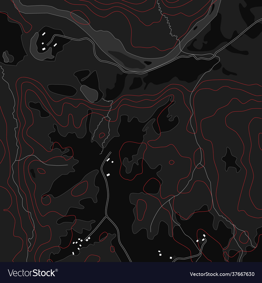 Topographic Map Background