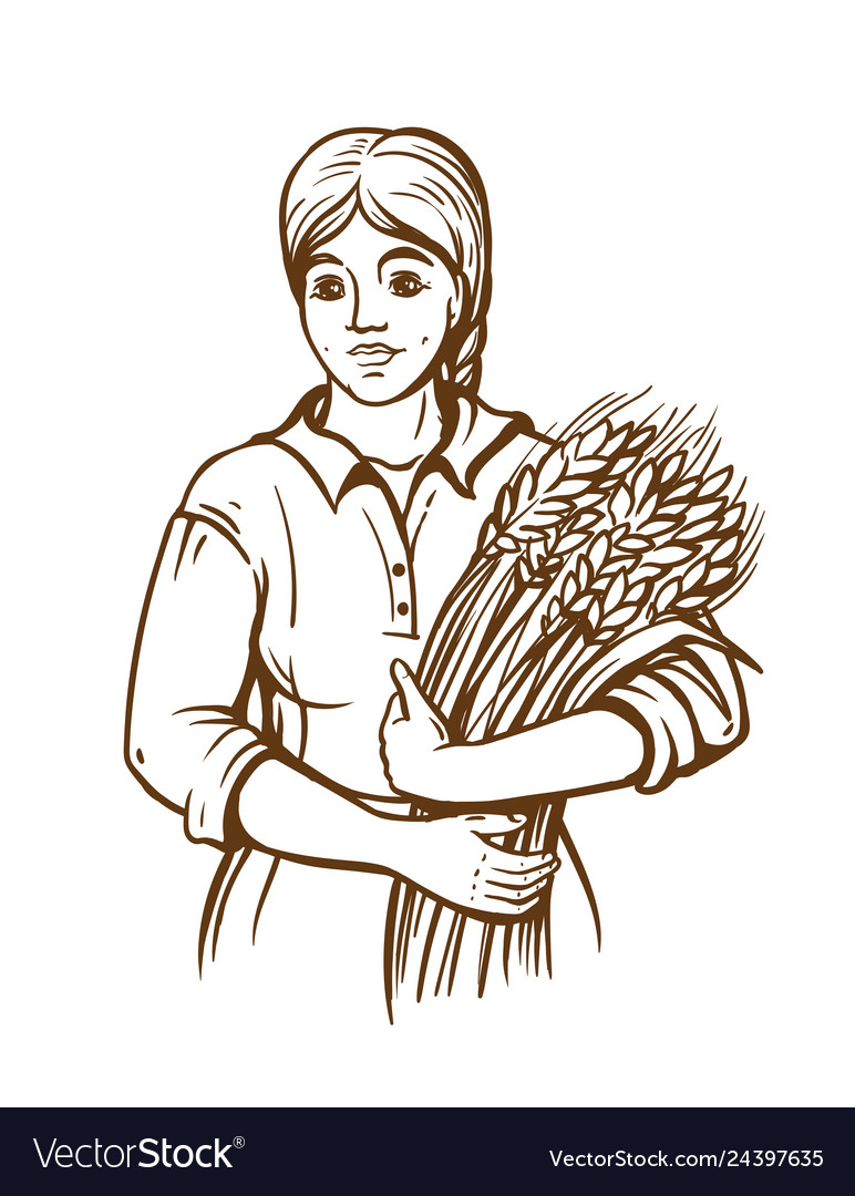 A woman in dress holds sheaf of fresh wheat Vector Image