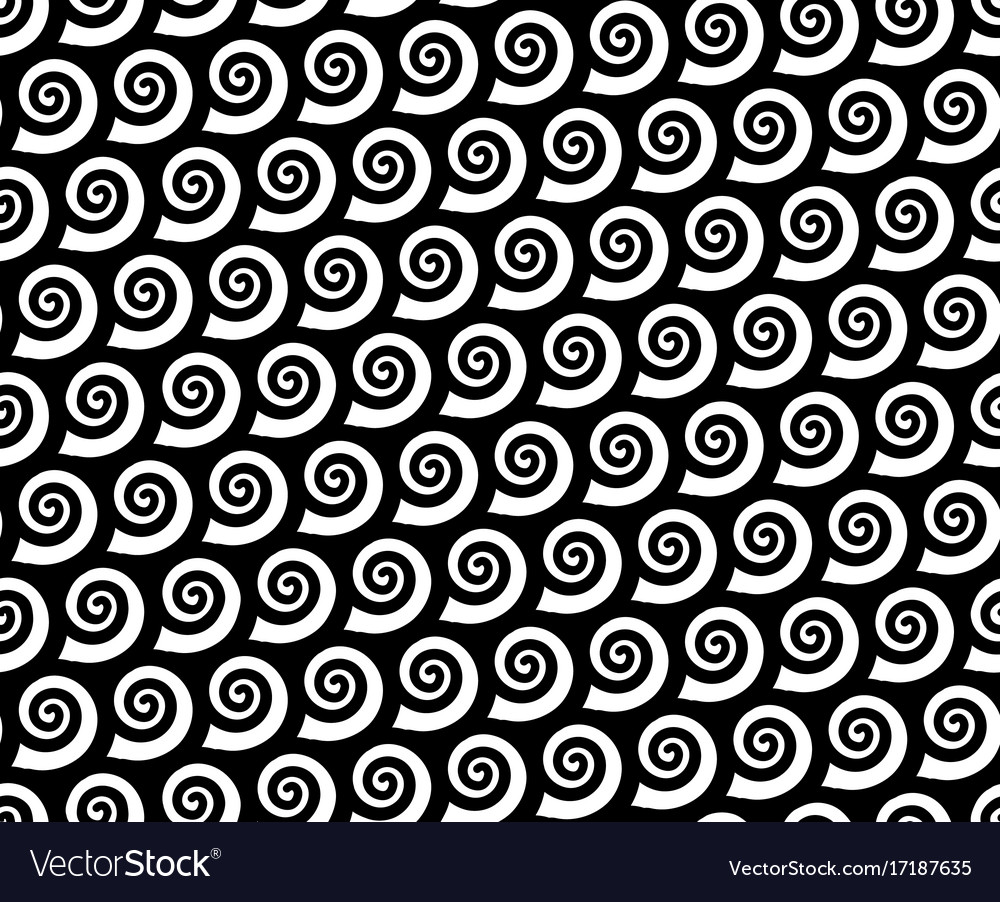 Spiral Snail Shell Pattern