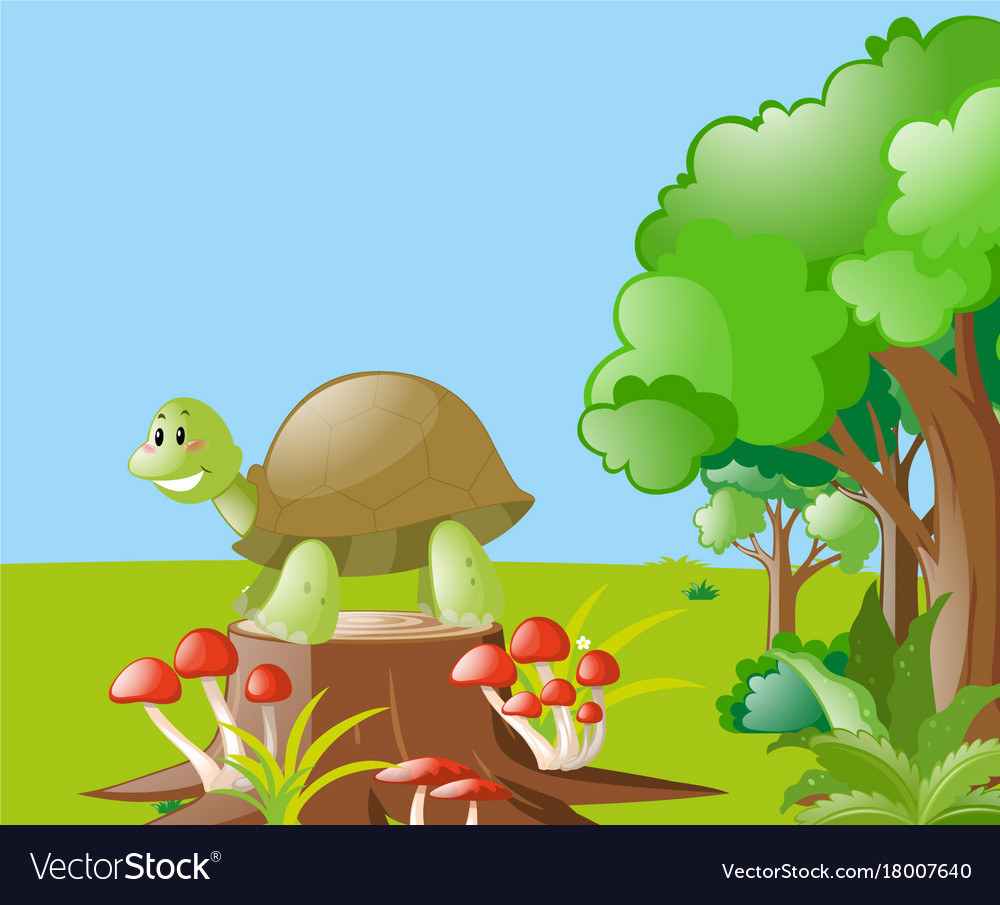 Nature scene with turtle on the log