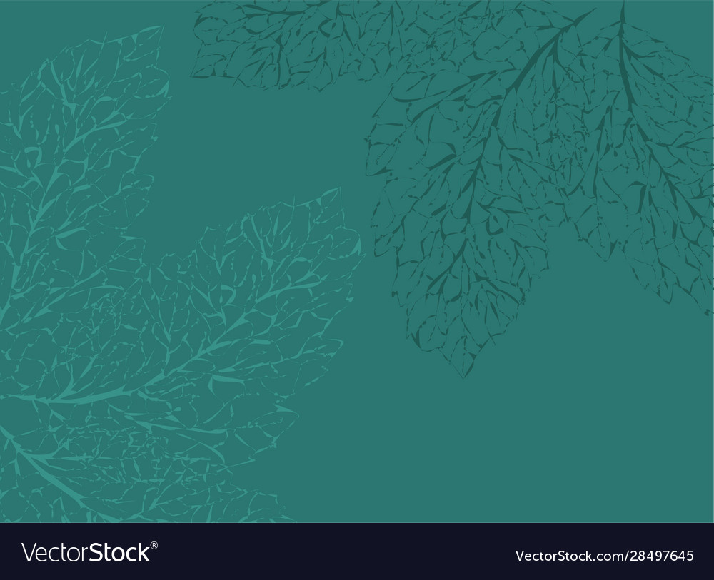 Autumn leaves set leaf tree collection banner