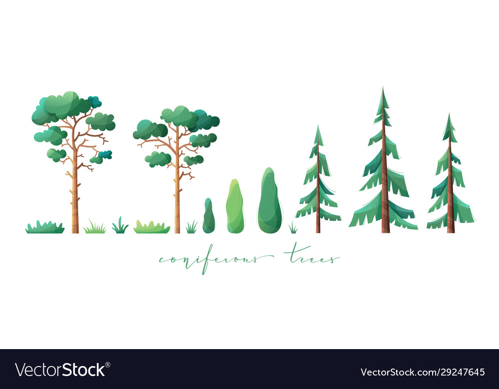 Coniferous Trees Collection
