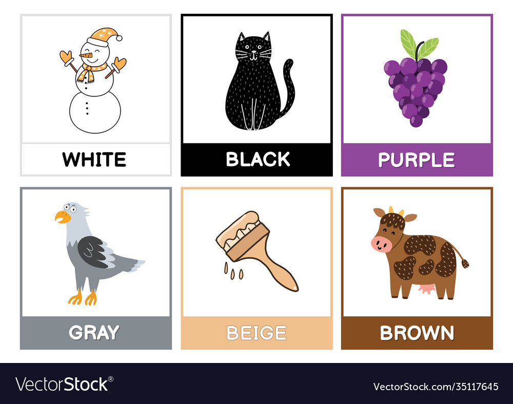 Flashcards with main colors learn primary colours Vector Image