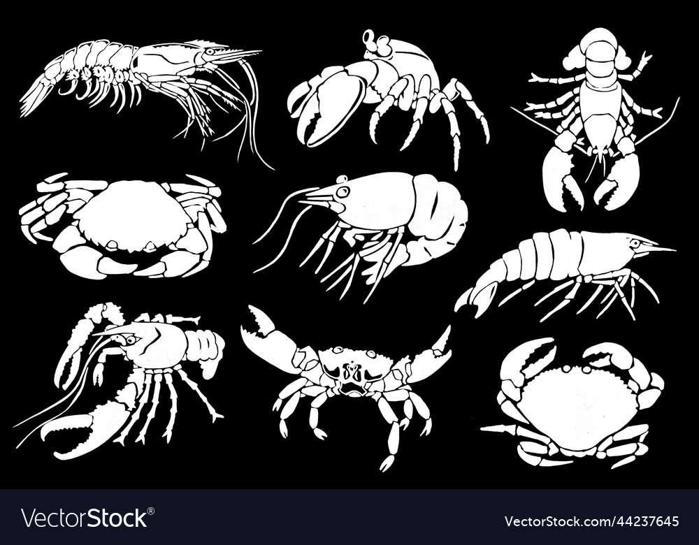 Graphical set of crabsshrimps and lobsters Vector Image Graphical set of crabsshrimps and lobsters