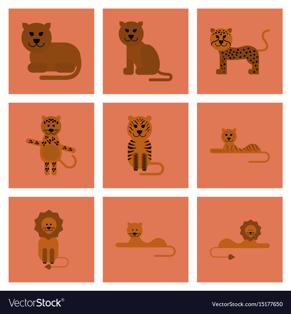 Assembly flat icons nature cartoon tiger lioness