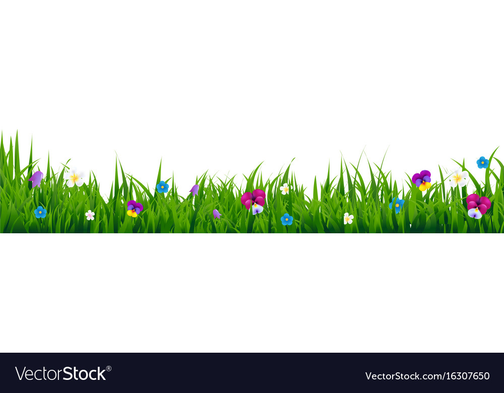 Flowers border Royalty Free Vector Image - VectorStock