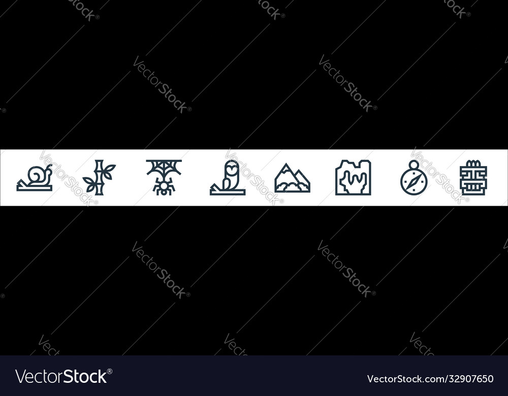 Jungle line icons linear set quality vector image Jungle line icons linear set quality