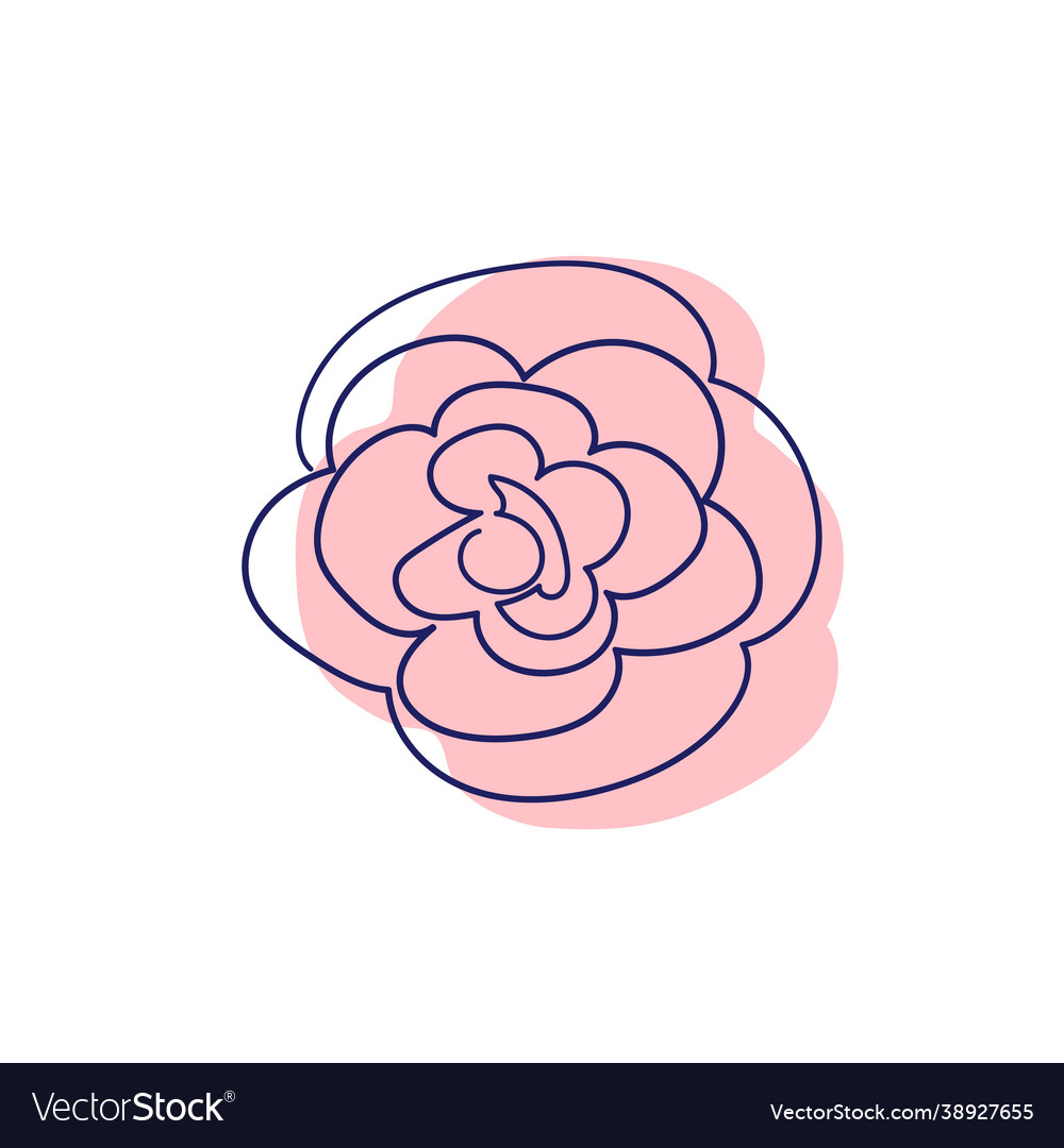 Continuous Line Drawing Beautiful Flowers Vector Image