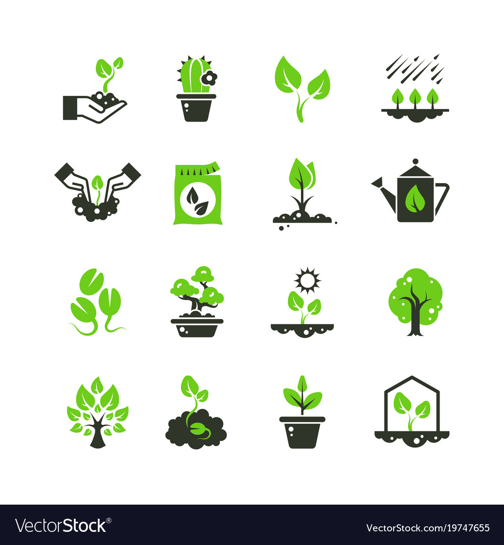 Tree sprout and plants icons seedling and Vector Image