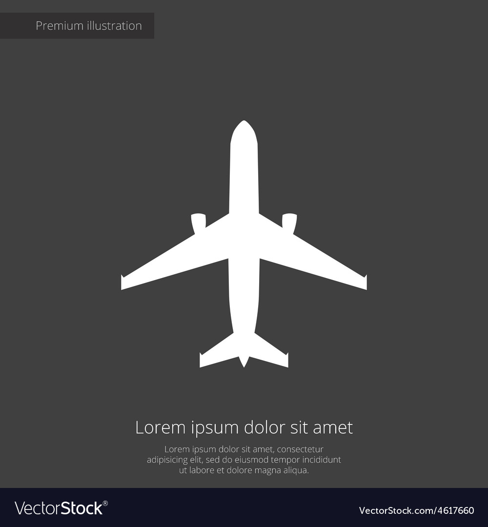 Airplane premium icon