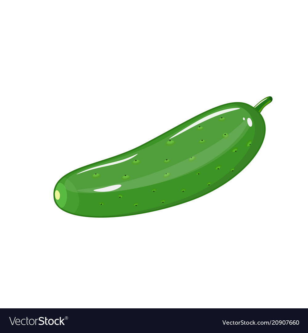 Flat Cucumber Icon