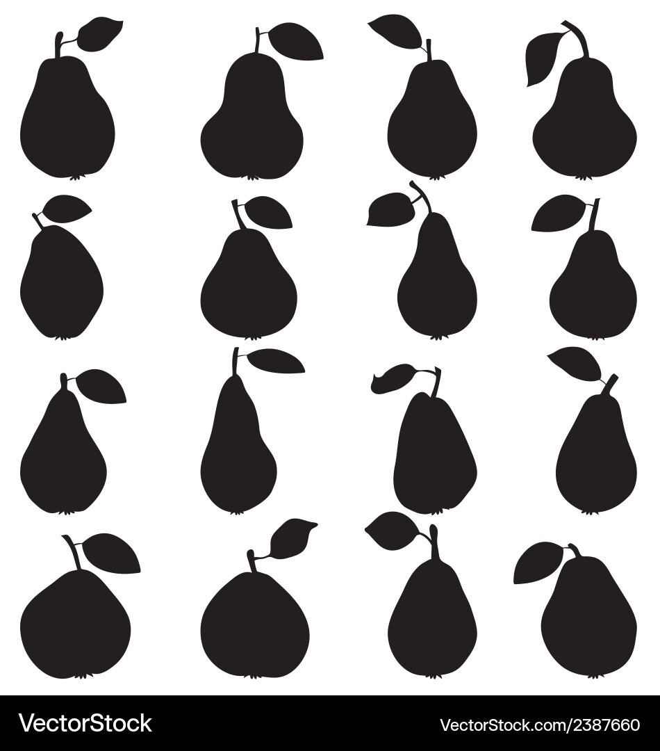 Pears Royalty Free Vector Image - VectorStock