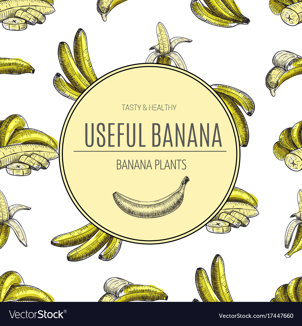 Seamless patternbananas of sketches