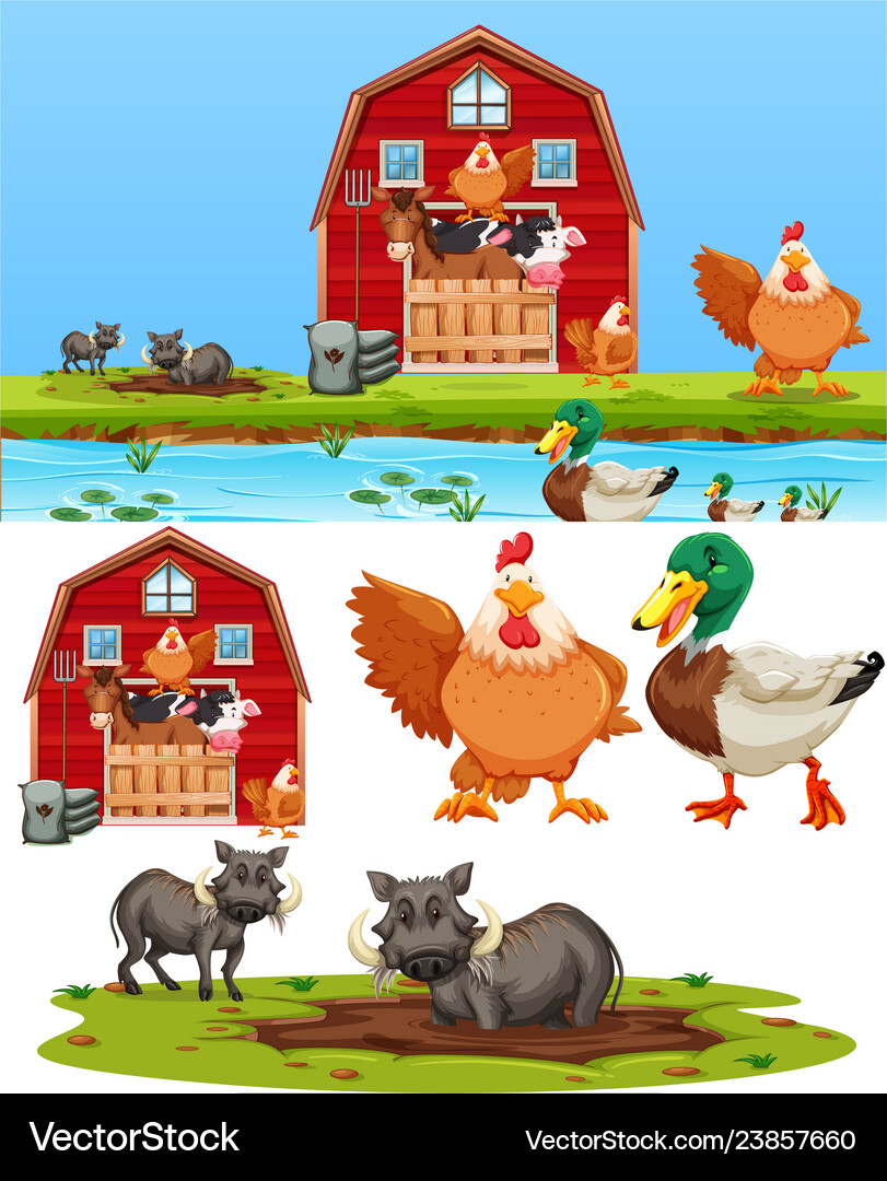 Set of farm element Royalty Free Vector Image - VectorStock