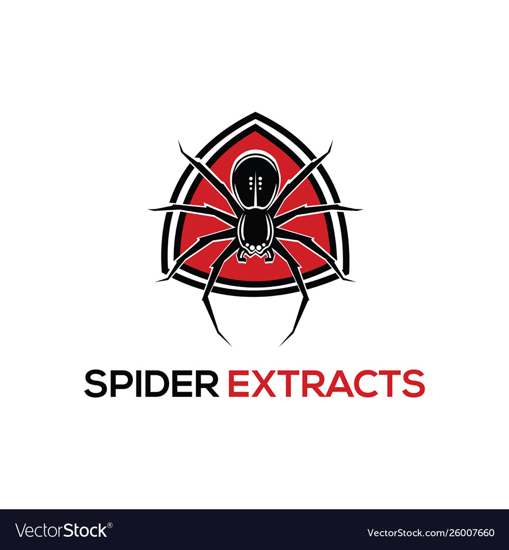 Spider studio - logo template Royalty Free Vector Image