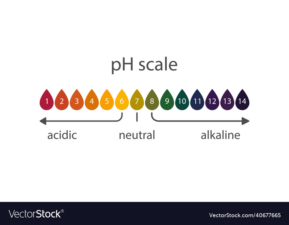 Scale of acidity litmus indicator paper Royalty Free Vector