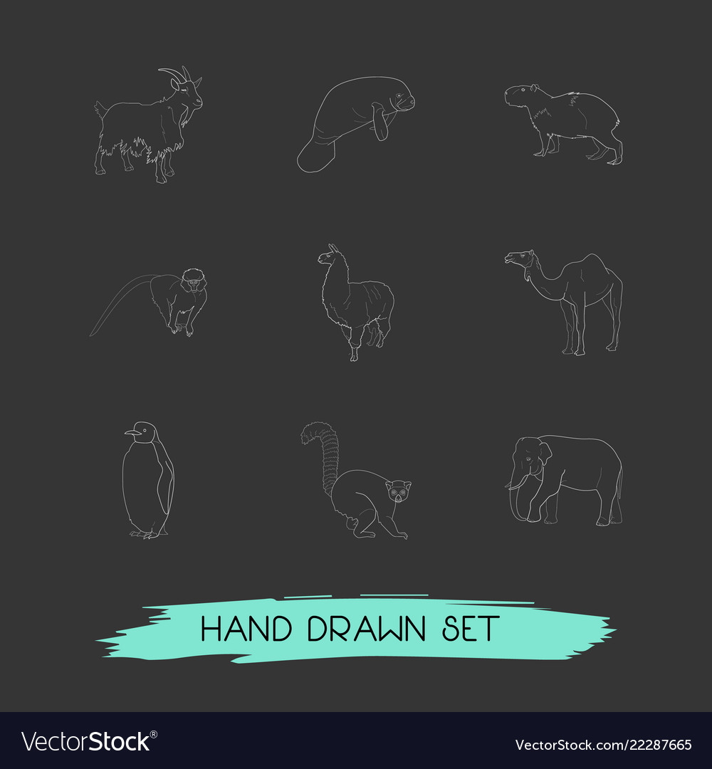 Set of zoo icons line style symbols with penguin Vector Image Set of zoo icons line style symbols with penguin
