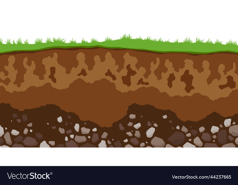 Surface horizons of soil layers earth structure